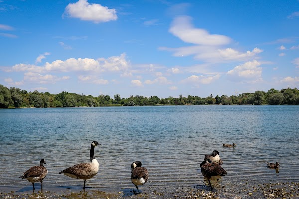 Feldmochinger See 1