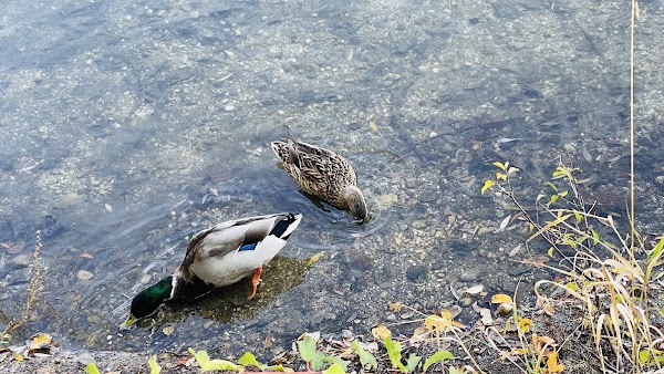 Feldmochinger See 3