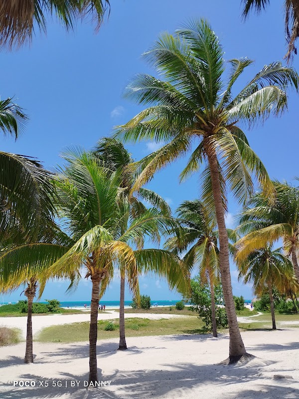 Lobster Beach