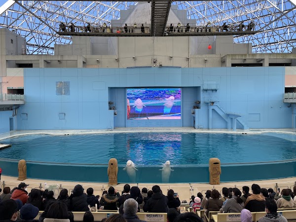Yokohama Hakkeijima Sea Paradise 5