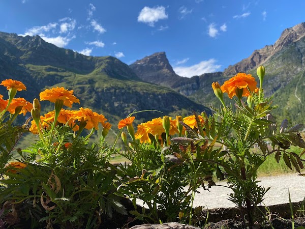 Alpe Devero 5