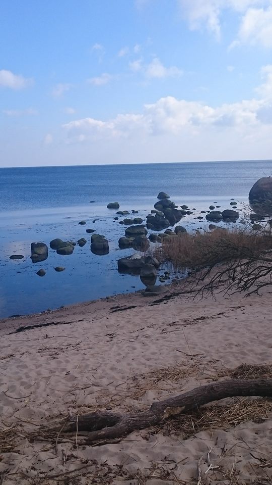Vitemölla 5