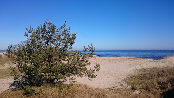 Vitemölla 4