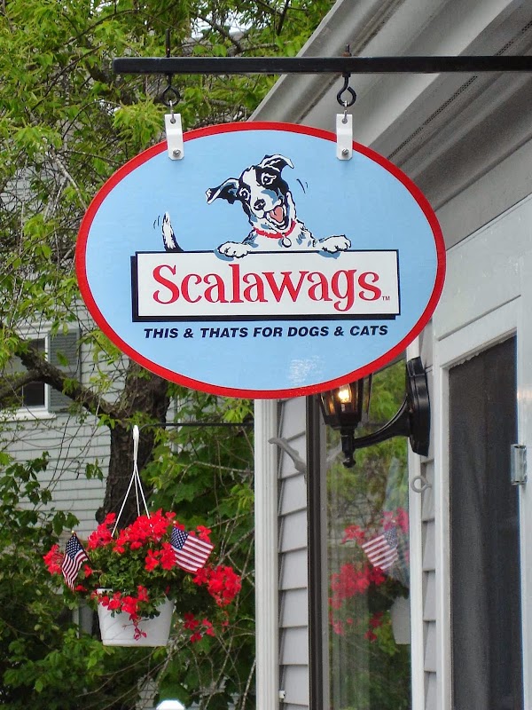 Scalawags Pet Boutique 1