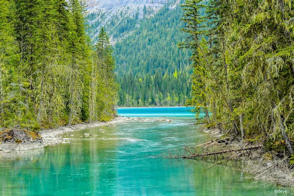 Kinney Lake 5