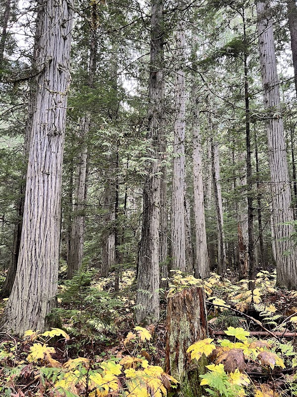 Kinney Lake 2