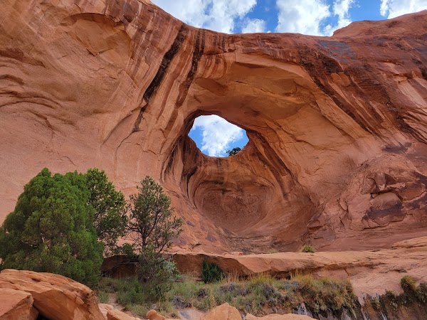 Bowtie Arch