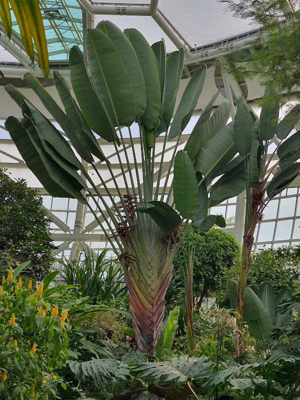 Bucheon Lake Botanic Garden Supia 1