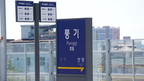 Punggi