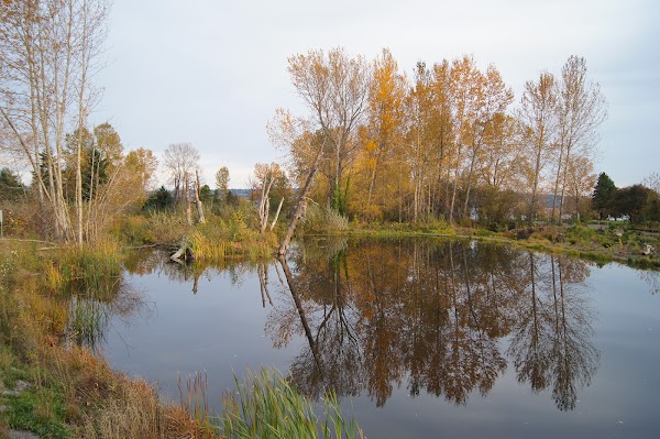 Warren G. Magnuson Park 1