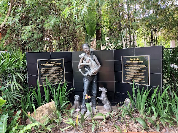 Soi Dog Foundation 5