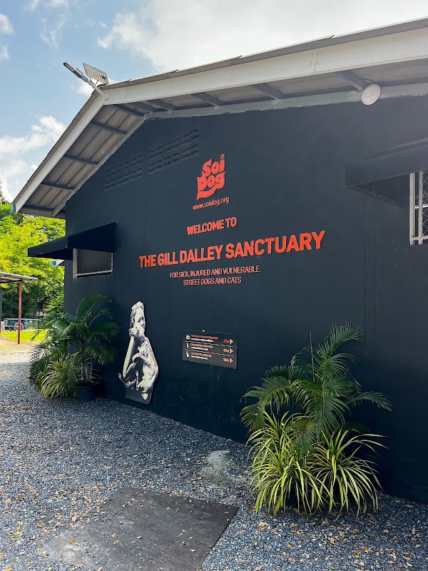 Soi Dog Foundation 4