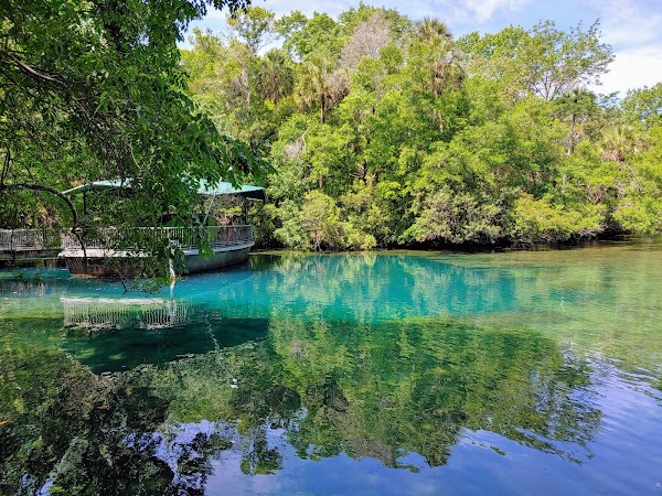 Ellie Schiller Homosassa Springs Wildlife State Park