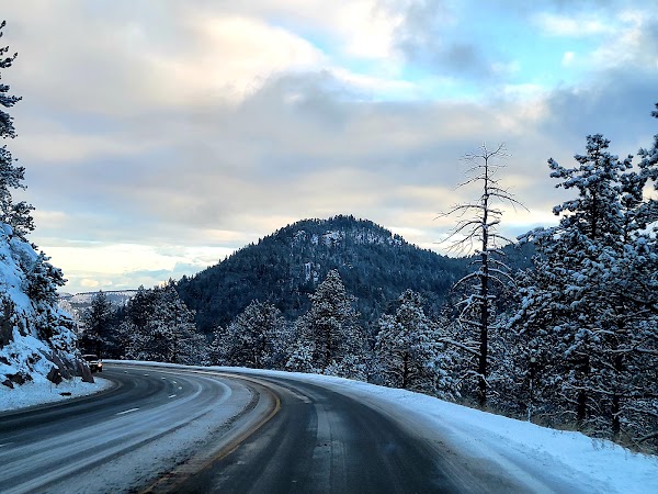 Roosevelt National Forest 1
