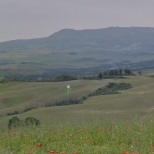 Podere Belvedere 1