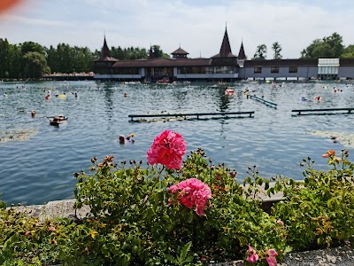 Thermal Lake of Hévíz