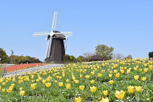 Tsurumi Ryokuchi Park 1