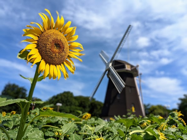 Tsurumi Ryokuchi Park 4