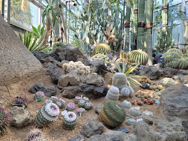 Tsurumi Ryokuchi Park 3