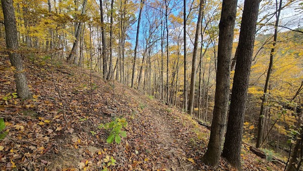 Hikes 23