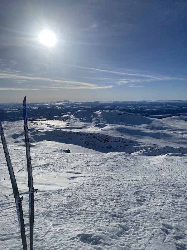 Gråfjell 1