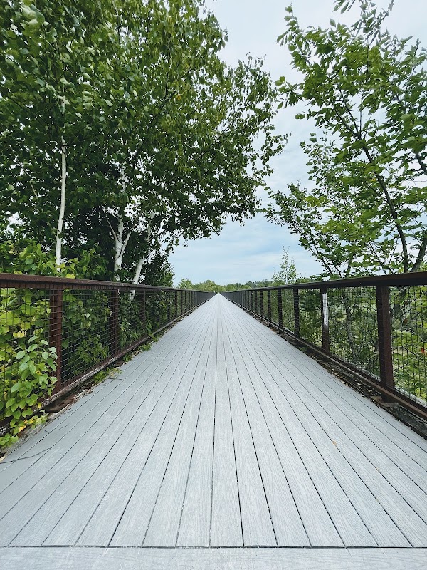 Omemee trestle bridge 5