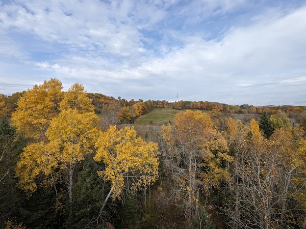 Omemee trestle bridge 4