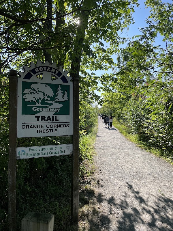 Omemee trestle bridge 3