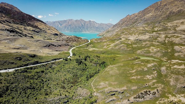 New zealand 8