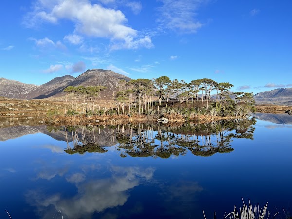 Pine Island Viewpoint