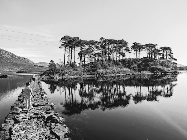 Pine Island Viewpoint 2