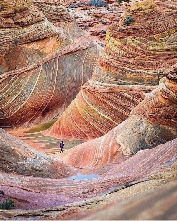 Paria Canyon-Vermilion Cliffs Wilderness Area