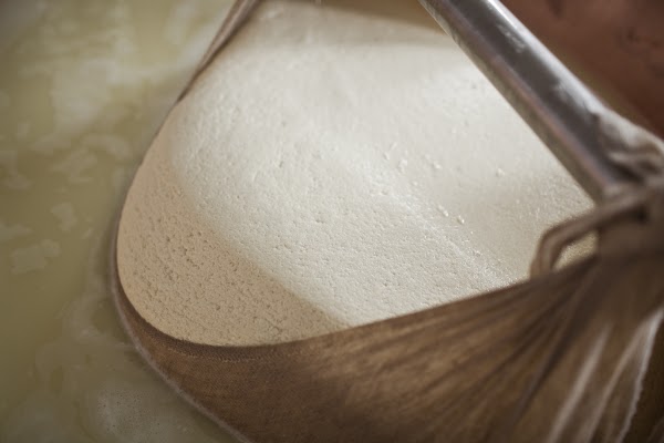 Borgo del Gazzano - Parmigiano Reggiano Biologico - Vendita Online
