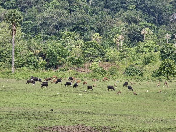Alas Purwo National Park