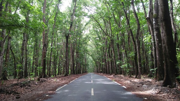 Alas Purwo National Park 5