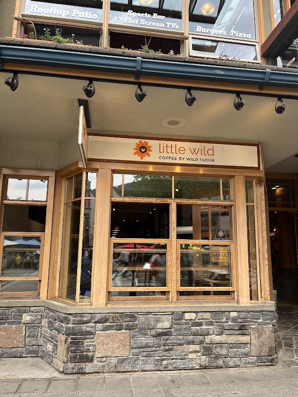 Little Wild: Coffee & Gelato 1