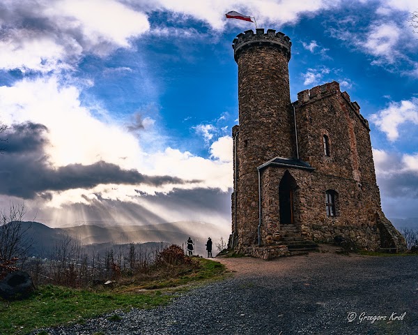 Prince Henryk Castle