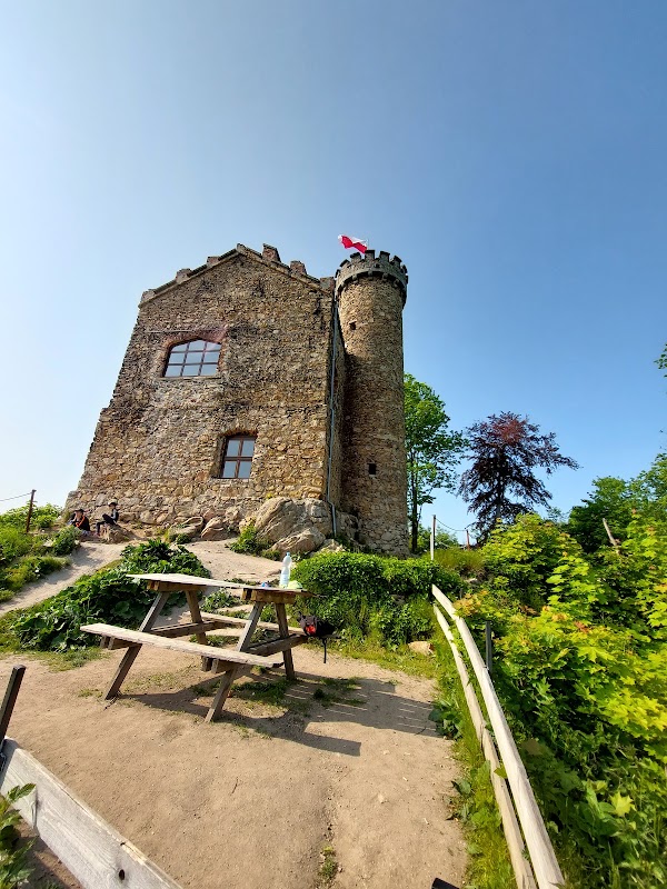 Prince Henryk Castle 3