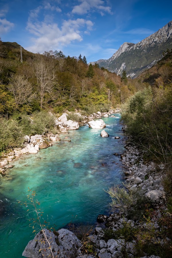 Juliana Trail - Official Page