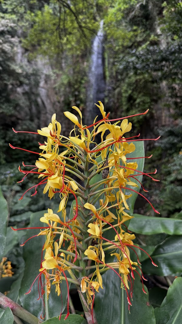 Aguage Waterfall 5