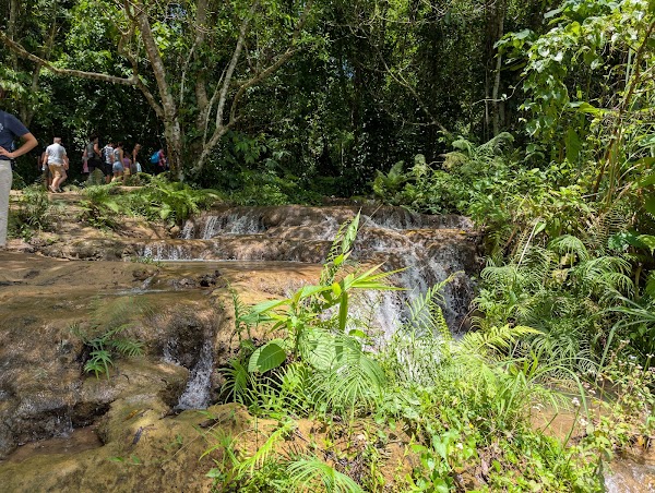Klong Kla Jungle Trail 4