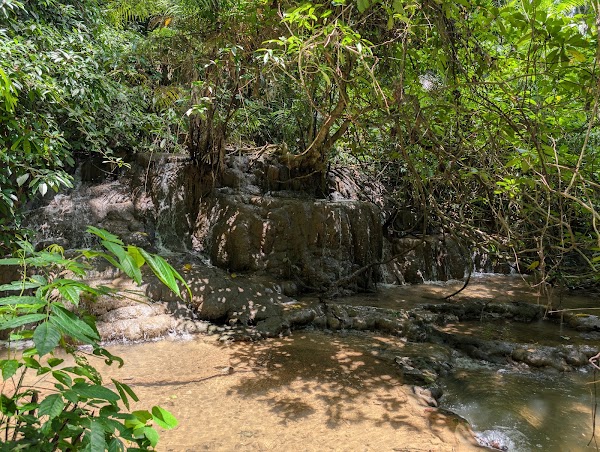 Klong Kla Jungle Trail 2