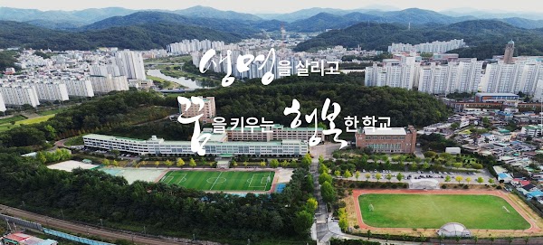대전대신고등학교