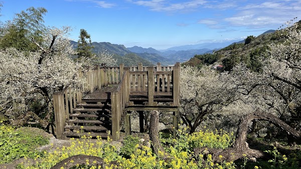 烏松崙森林渡假營（石家梅園）