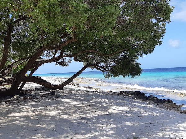 Donkey Beach 4