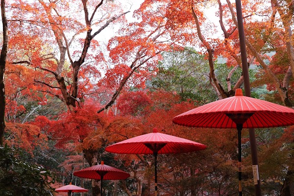 Zuihoji Park