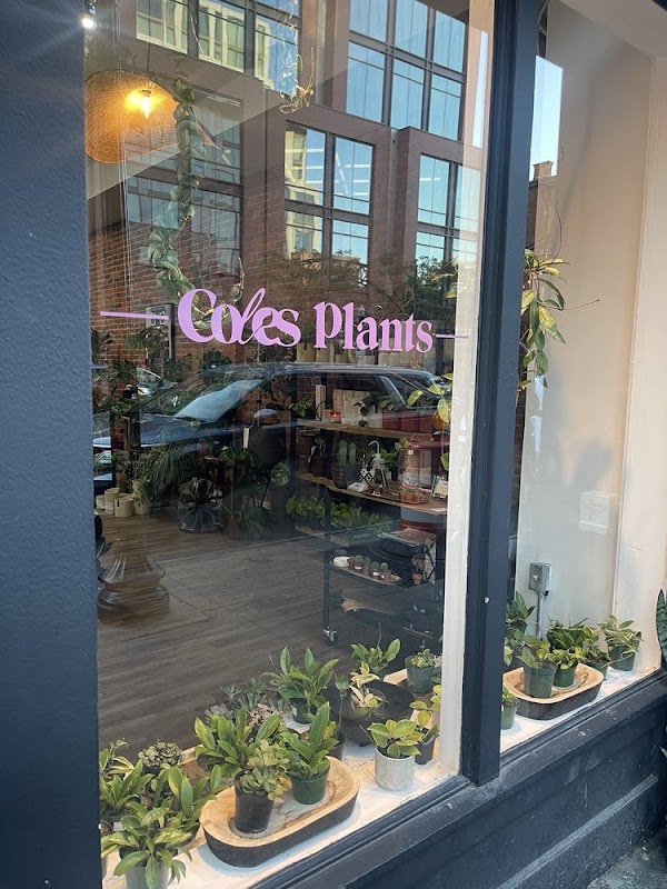 Coles Plants