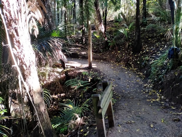 Puhinui Stream Forest Trail