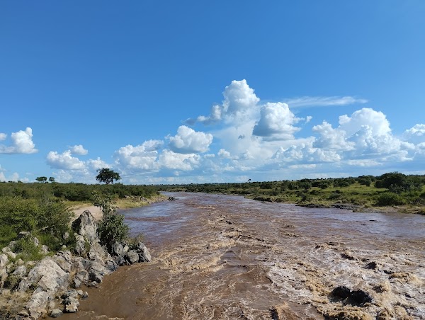 Mara river 1