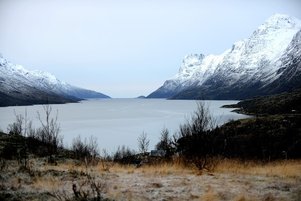Ersfjord 2